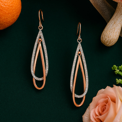 Charm Hanging Earrings
